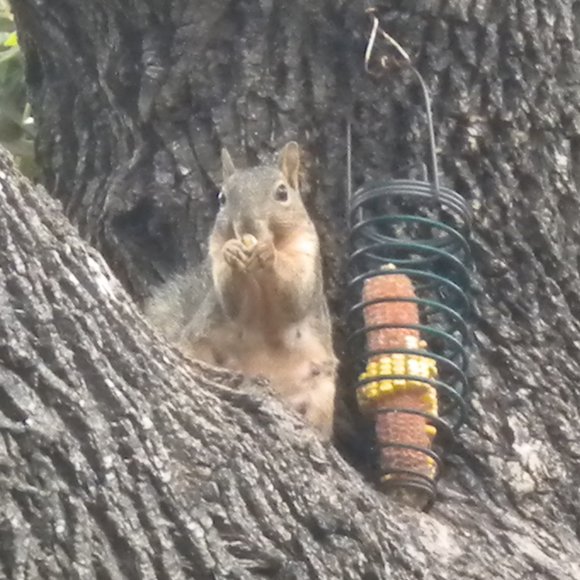 Meet your Posher, Dee - Picture 6 of 8